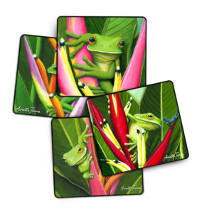 Tree Frog Coasters Set Gift Box of 4 Assorted
